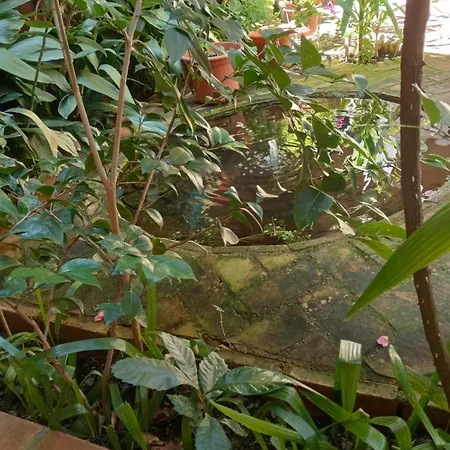 La Venta del Arriero-3